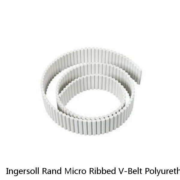 Ingersoll Rand Micro Ribbed V-Belt Polyurethane 58" Outside Length 89265060