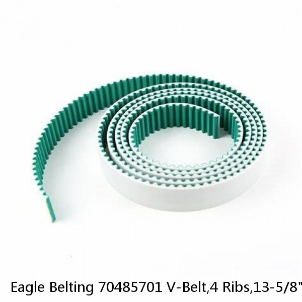 Eagle Belting 70485701 V-Belt,4 Ribs,13-5/8" Outside Length