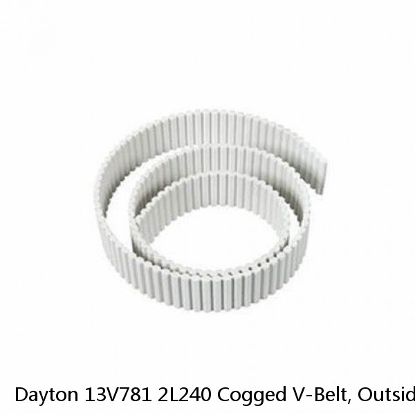 Dayton 13V781 2L240 Cogged V-Belt, Outside Length 24"