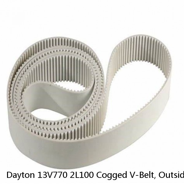 Dayton 13V770 2L100 Cogged V-Belt, Outside Length 10"