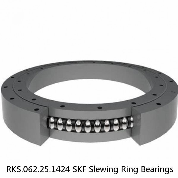 RKS.062.25.1424 SKF Slewing Ring Bearings