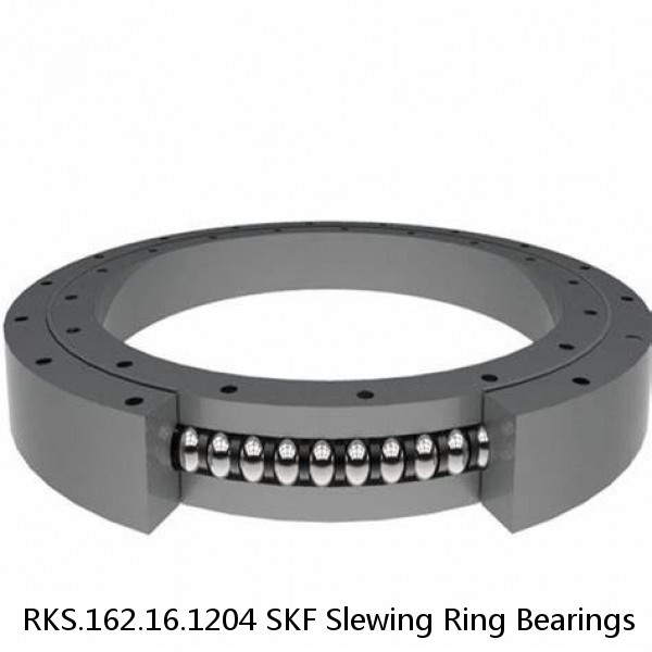 RKS.162.16.1204 SKF Slewing Ring Bearings