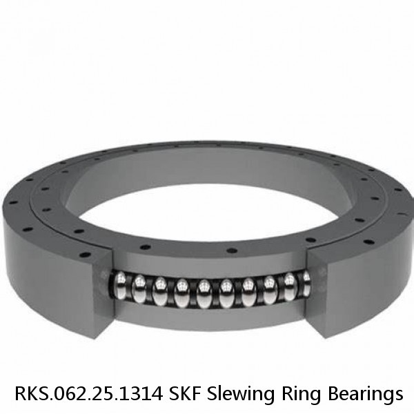 RKS.062.25.1314 SKF Slewing Ring Bearings