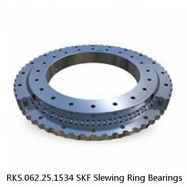 RKS.062.25.1534 SKF Slewing Ring Bearings