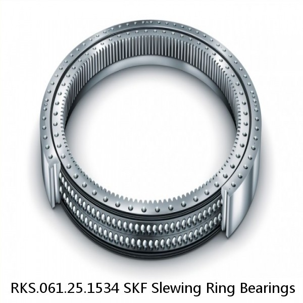 RKS.061.25.1534 SKF Slewing Ring Bearings