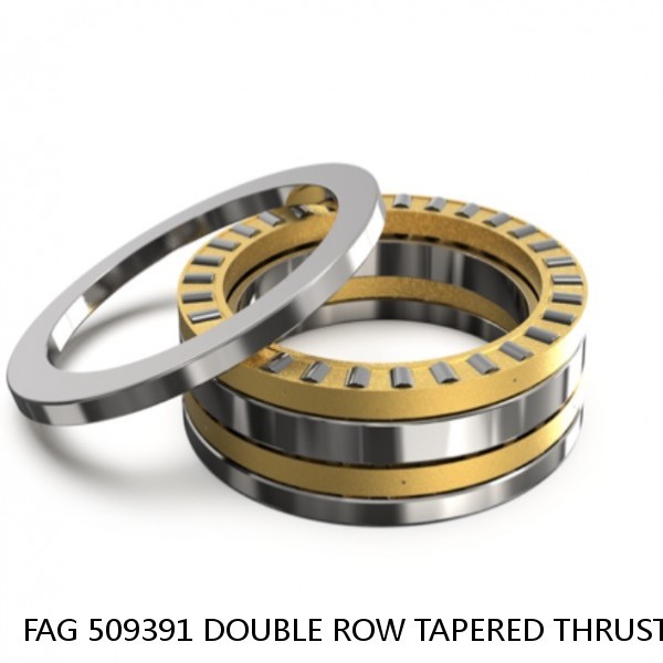 FAG 509391 DOUBLE ROW TAPERED THRUST ROLLER BEARINGS