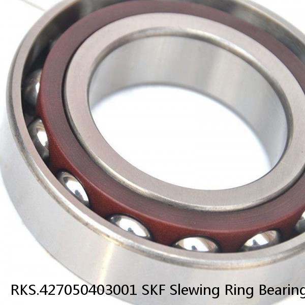 RKS.427050403001 SKF Slewing Ring Bearings