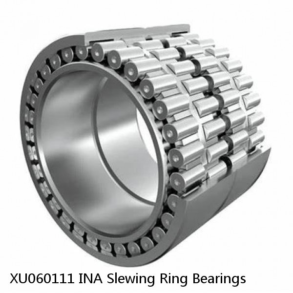 XU060111 INA Slewing Ring Bearings