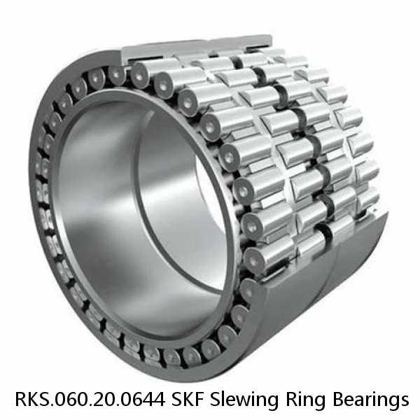 RKS.060.20.0644 SKF Slewing Ring Bearings