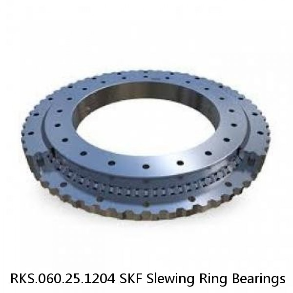 RKS.060.25.1204 SKF Slewing Ring Bearings