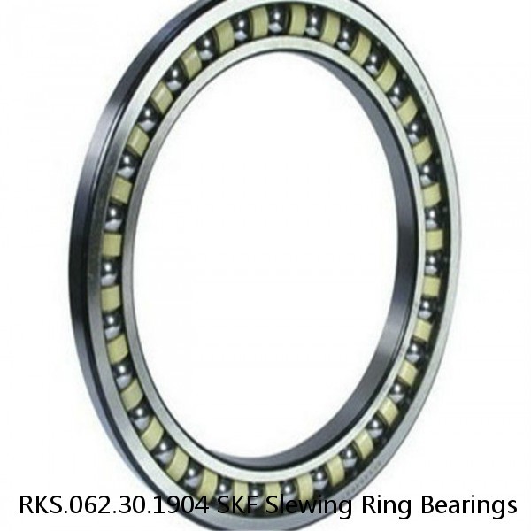 RKS.062.30.1904 SKF Slewing Ring Bearings