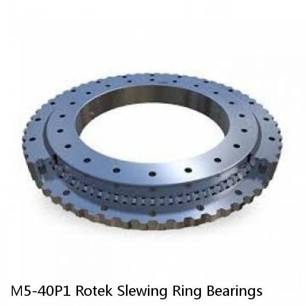 M5-40P1 Rotek Slewing Ring Bearings