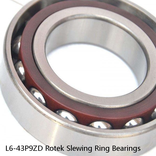 L6-43P9ZD Rotek Slewing Ring Bearings