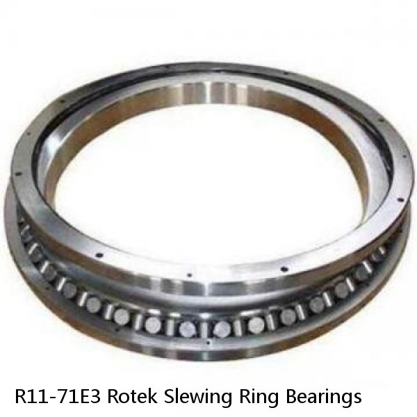 R11-71E3 Rotek Slewing Ring Bearings